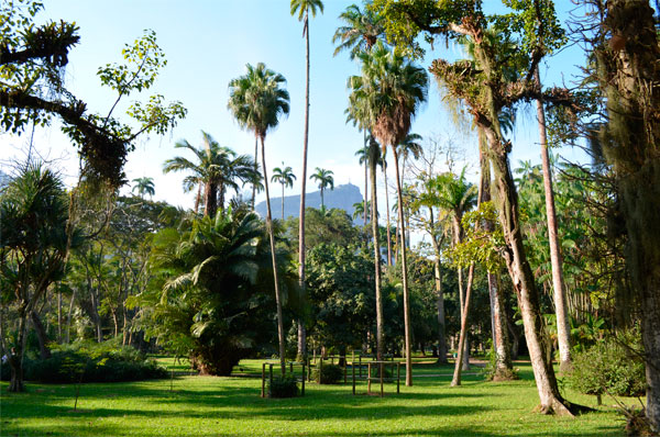 Uma tarde no Jardim Botânico, no Rio de Janeiro.