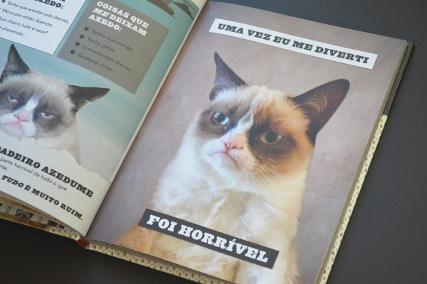 Grumpy Cat - Um Livro Azedo