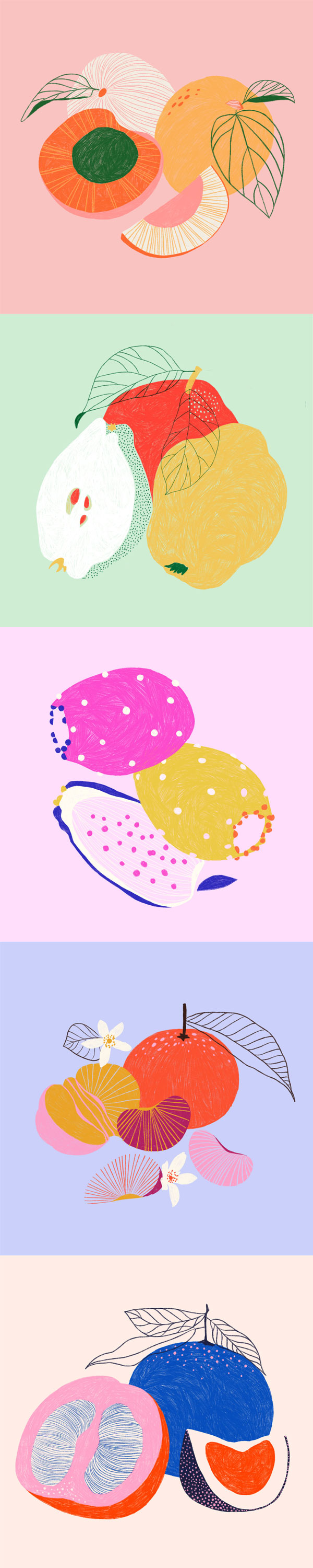 Fruit & Line Series - Marisol Ortega | Illustration