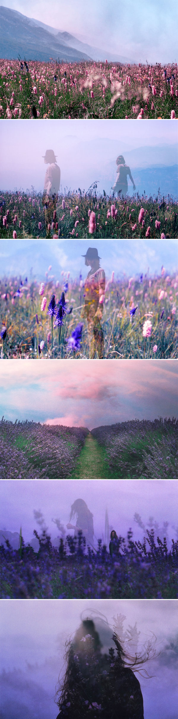 Summer Fields by Maya Beano | Photography