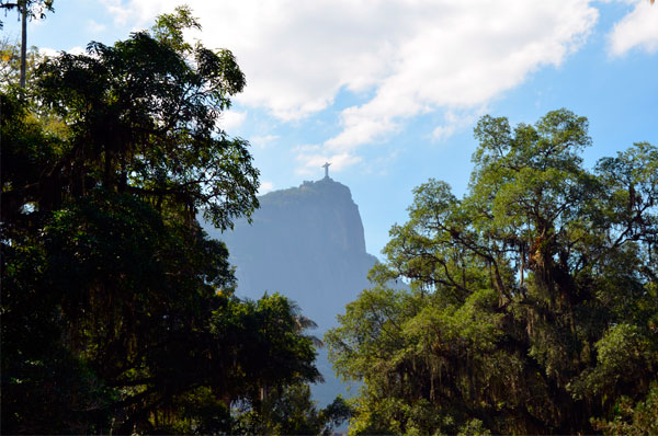 Uma-tarde-no-Jardim-Botanico_01 Uma tarde no Jardim Botanico, no Rio de Janeiro.
