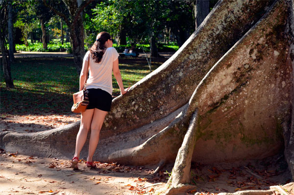 Uma-tarde-no-Jardim-Botanico_11 Uma tarde no Jardim Botanico, no Rio de Janeiro.