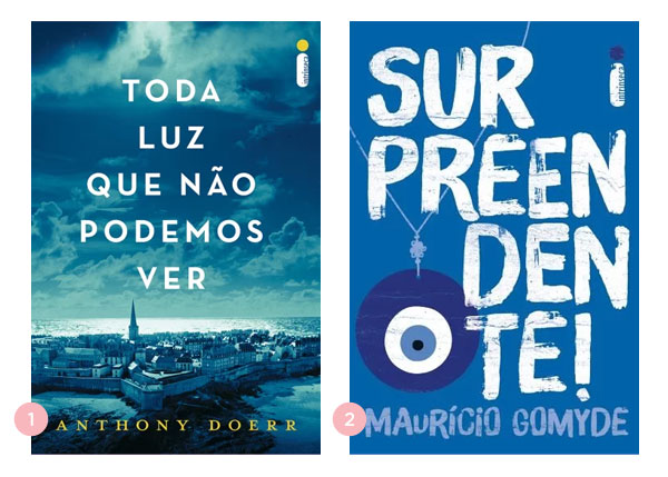 Mini-resenhas: Toda Luz Que Nao Podemos Ver + Surpreendente | Blog Nao Me Mande Flores