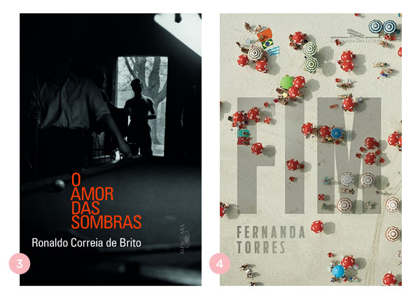 Mini-resenhas dos livros: O Amor das Sombras e Fim