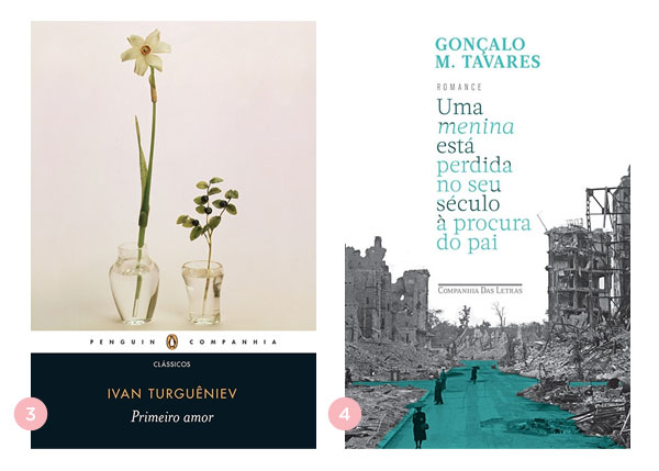 Mini-resenhas dos livros: Primeiro amor e Uma menina esta perdida no seu seculo a procura do pai