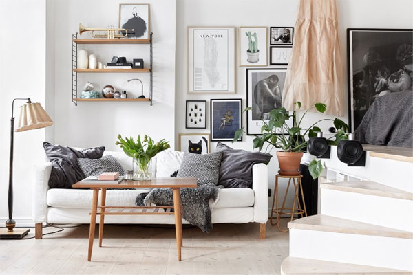 Inspiracao Decor Poster | Fantastic Frank