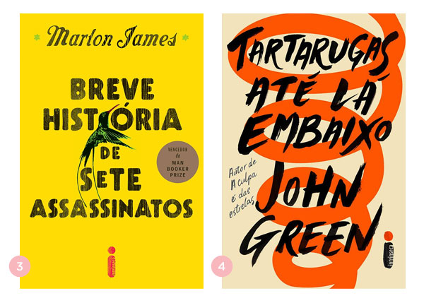 Mini-resenhas dos livros: Breve Historia de Sete Assassinatos e Tartarugas Ate La Embaixo | Nao Me Mande Flores