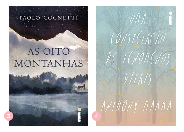 Mini-resenhas dos livros: As Oito Montanhas e Uma Constelacao de Fenomenos Vitais | Nao Me Mande Flores